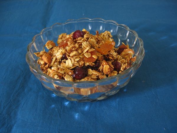 Cranberry granola recipes