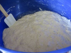 raised dough